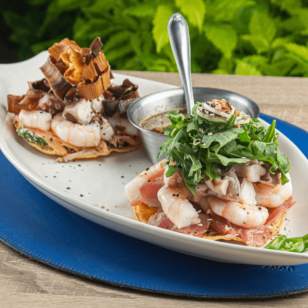 Tostada dominó especial